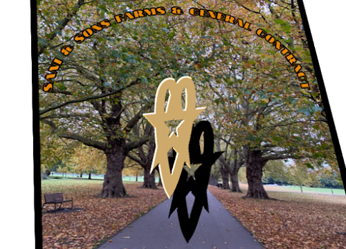 AF1QipNBE02IWiZXD7e3Yqj_Q7VOfn_qgoBPxtRwZagEw800-h500-k-no.png