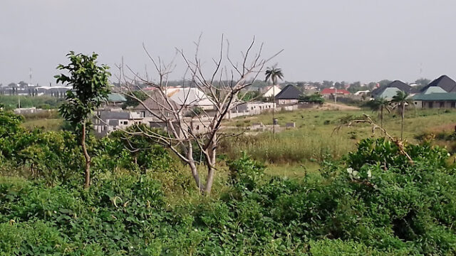 AF1QipOQ_B9WU0cZvB1NClDpE2xeav5Hv99veiZ2bOynw800-h500-k-no.jpg