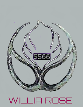 AF1QipP3OkYTUxSafu9DpNutPJvM6s9aO1nTeATq_1ryw800-h500-k-no.png