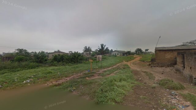 thumbnail-10174.jpg