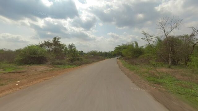 thumbnail-10259.jpg