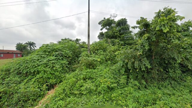 thumbnail-10456.jpg