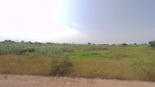 thumbnail-10737.jpg