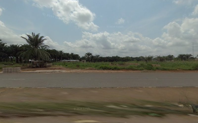 thumbnail-11138.jpg