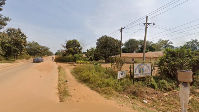 thumbnail-11257.jpg
