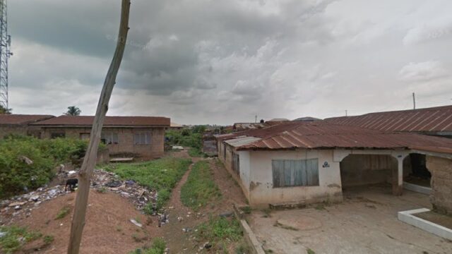 thumbnail-11395.jpg