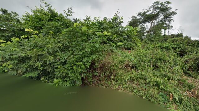 thumbnail-11631.jpg