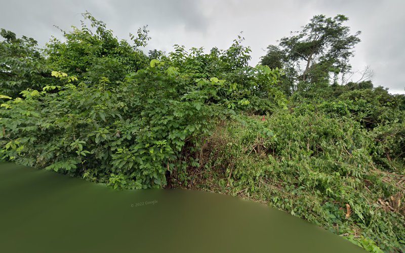 thumbnail-11631.jpg