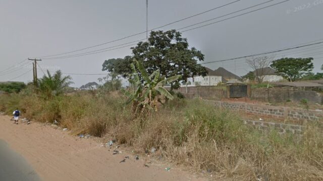 thumbnail-11697.jpg