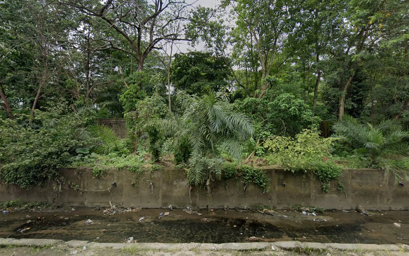 thumbnail-11976.jpg