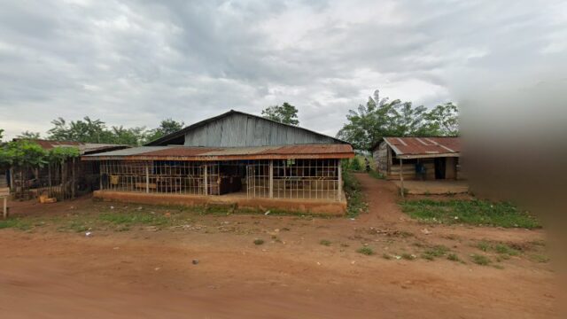 thumbnail-12105.jpg
