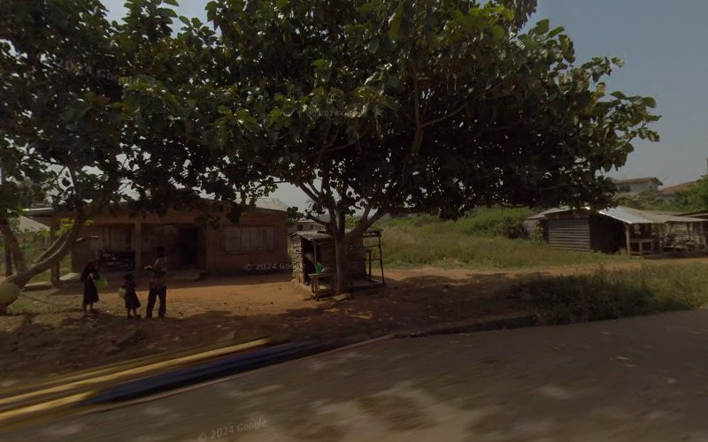 thumbnail-12384.jpg