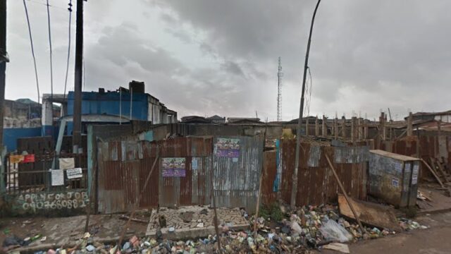 thumbnail-12462.jpg