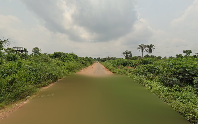 thumbnail-12599.jpg