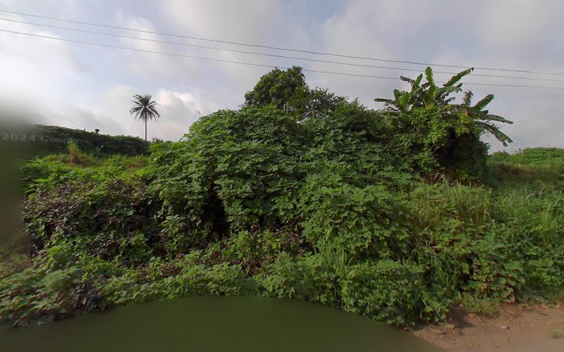 thumbnail-12774.jpg