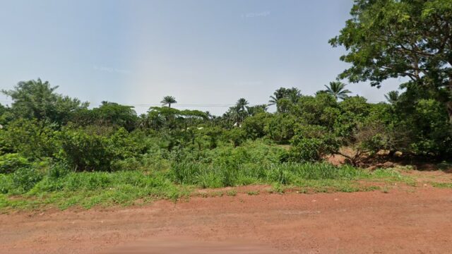 thumbnail-12868.jpg