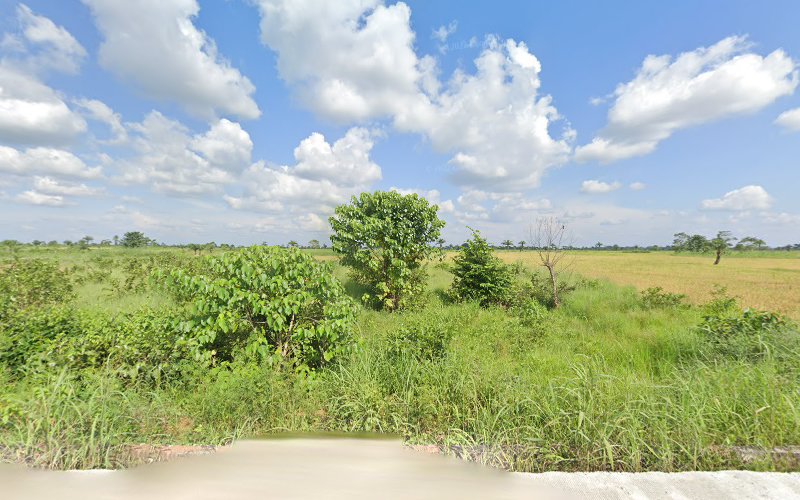 thumbnail-13086.jpg
