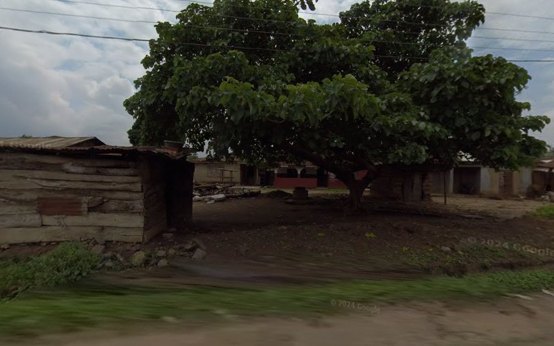 thumbnail-13098.jpg