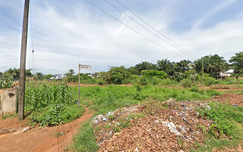 thumbnail-14117.jpg