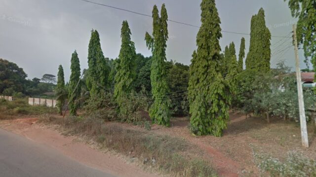 thumbnail-14143.jpg