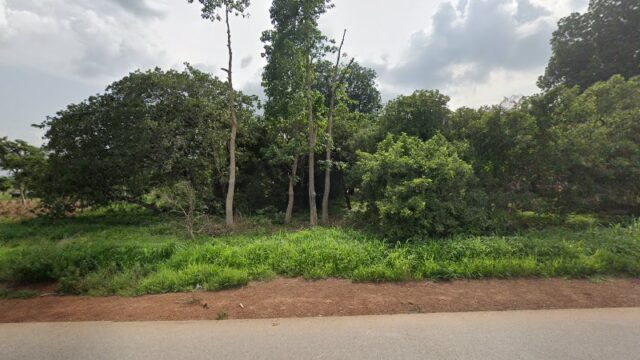 thumbnail-14394.jpg