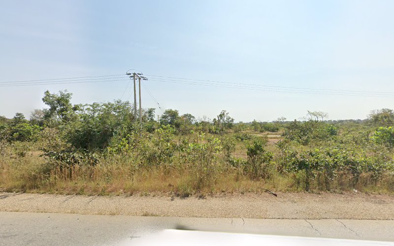 thumbnail-14438.jpg