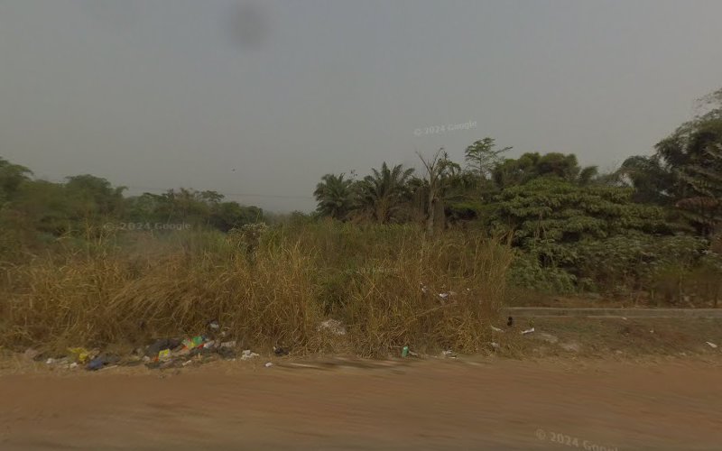 thumbnail-14546.jpg
