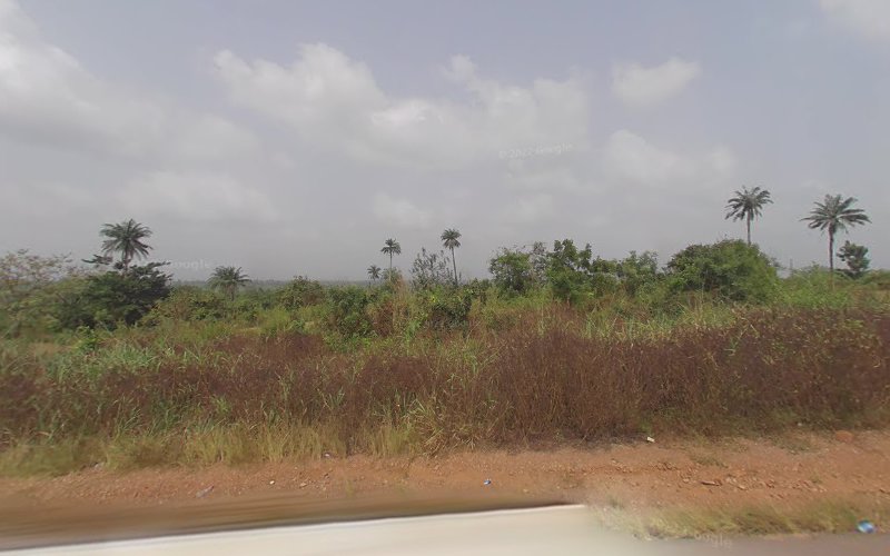 thumbnail-1625.jpg