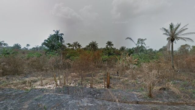 thumbnail-2055.jpg