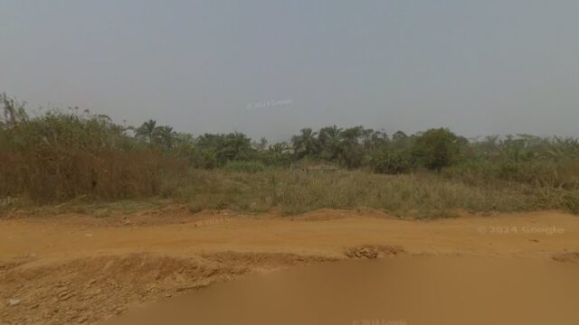 thumbnail-2064.jpg