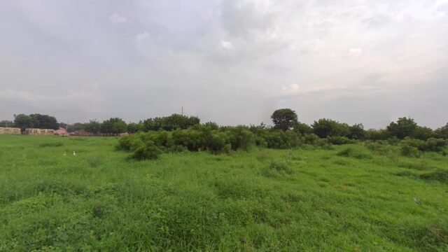 thumbnail-2454.jpg