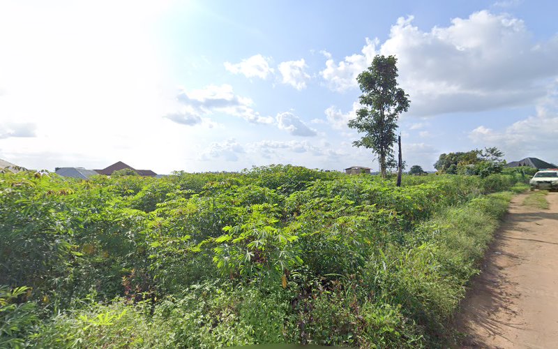 thumbnail-255.jpg