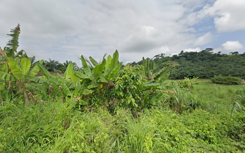 thumbnail-2646.jpg