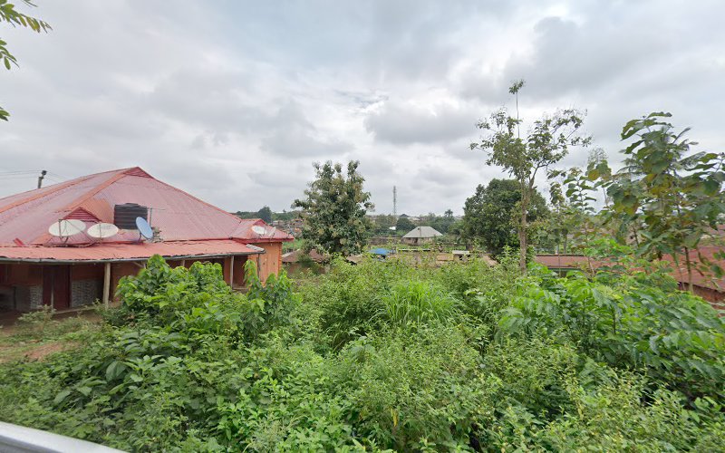 thumbnail-2970.jpg