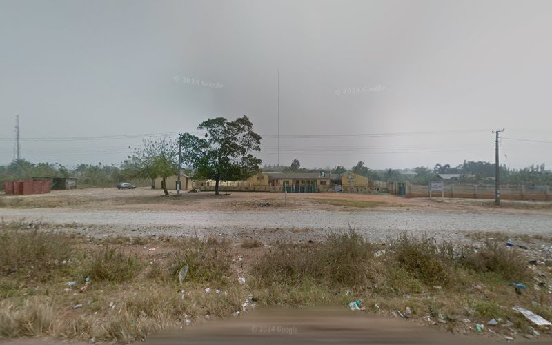 thumbnail-308.jpg