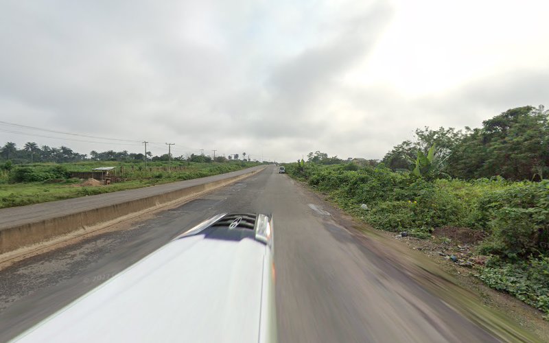 thumbnail-310.jpg