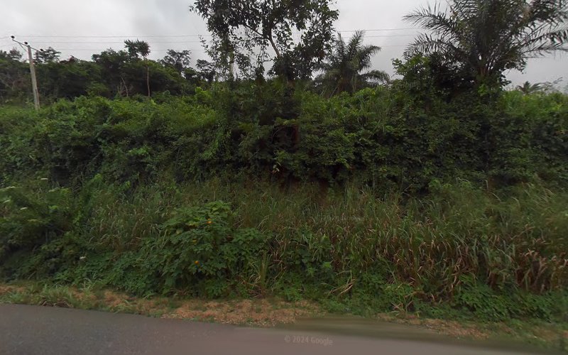 thumbnail-311.jpg