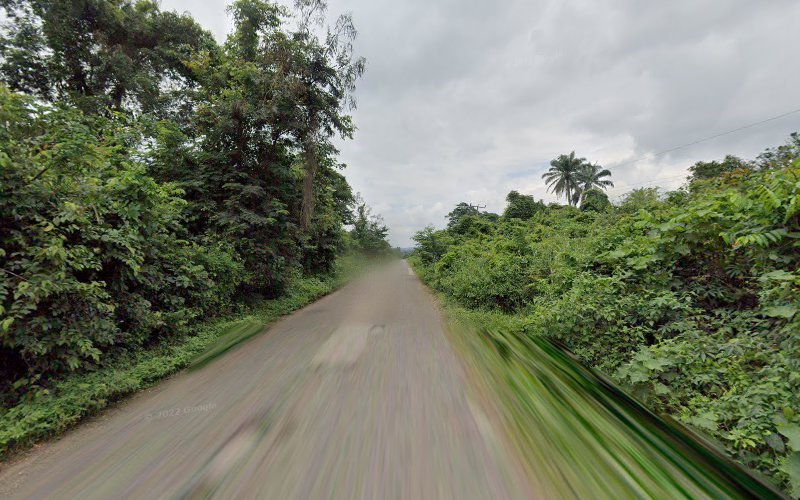 thumbnail-330.jpg