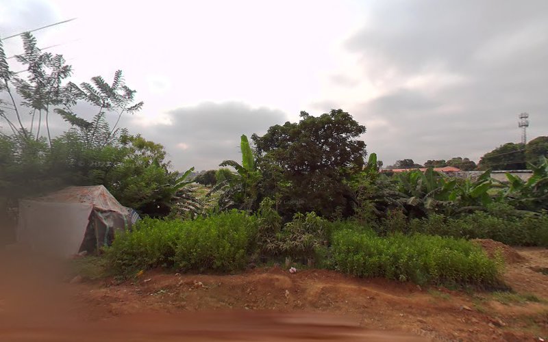 thumbnail-3566.jpg