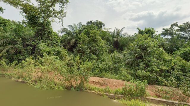 thumbnail-3712.jpg