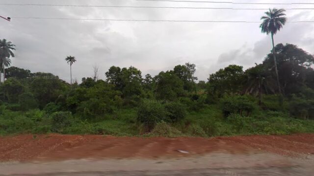 thumbnail-3787.jpg