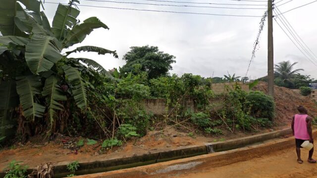 thumbnail-3871.jpg