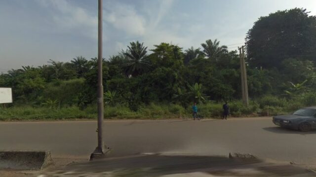 thumbnail-4385.jpg