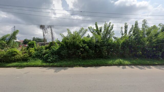 thumbnail-4459.jpg