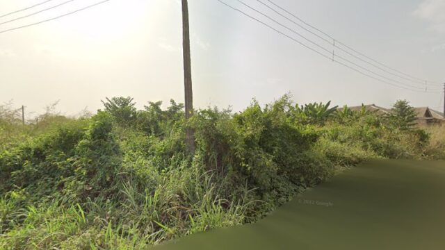 thumbnail-4766.jpg