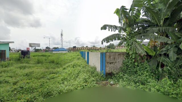 thumbnail-6459.jpg