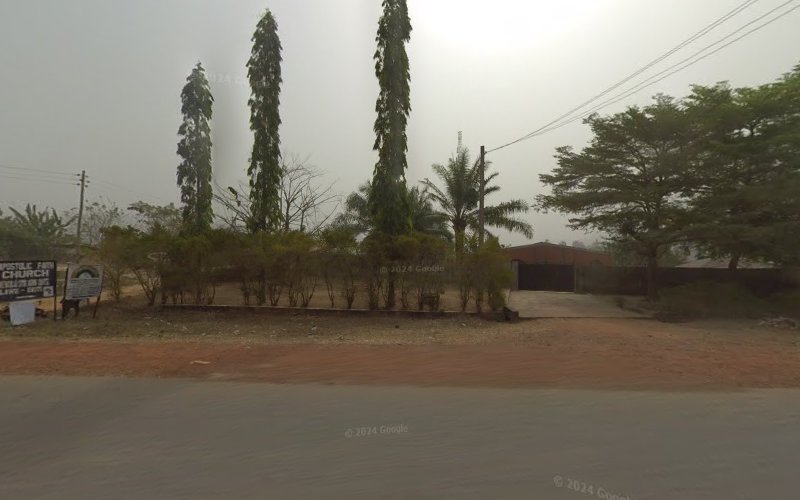 thumbnail-6561.jpg