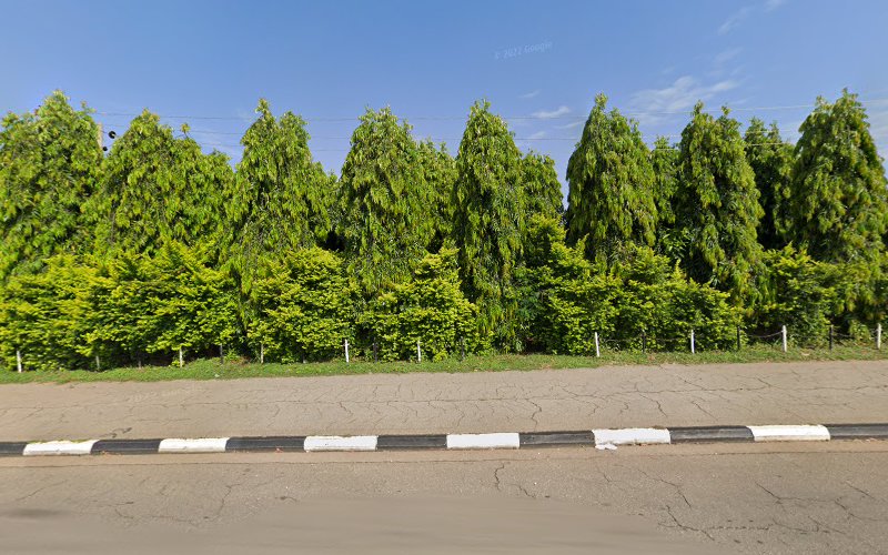 thumbnail-6579.jpg