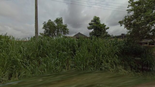 thumbnail-6677.jpg