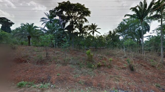thumbnail-6755.jpg